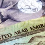 UAE is expected to ratify federal debt law this year